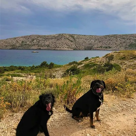 Appartamento Milena Barbat na Rabu